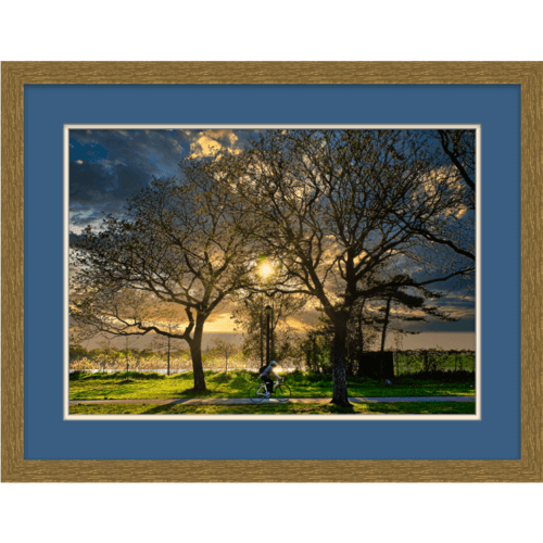 SUNSET BICYCLE RIDER