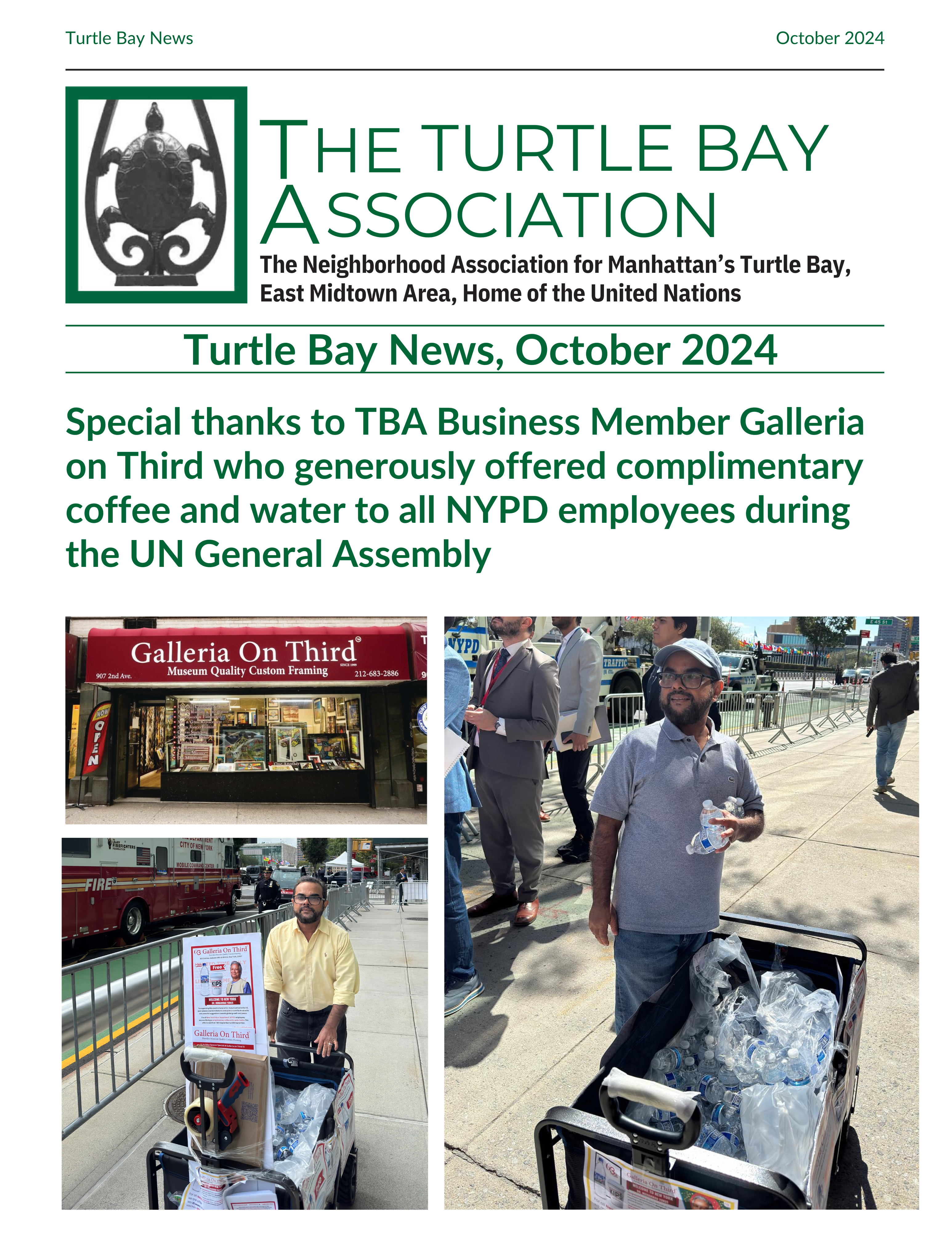 Turtle Bay News